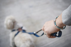 Turquoise Beads Mix Bracelet(S Beads) - May club