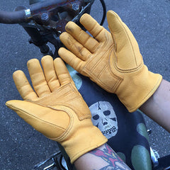 May club -【WESTRIDE】CLASSIC ALL WEATHER STANDARD GLOVE - GOLD