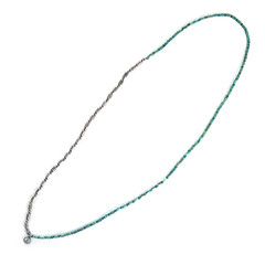 Silver & Turquoise Long Necklace - May club