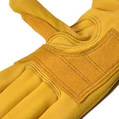 May club -【WESTRIDE】CLASSIC ALL WEATHER STANDARD GLOVE - GOLD